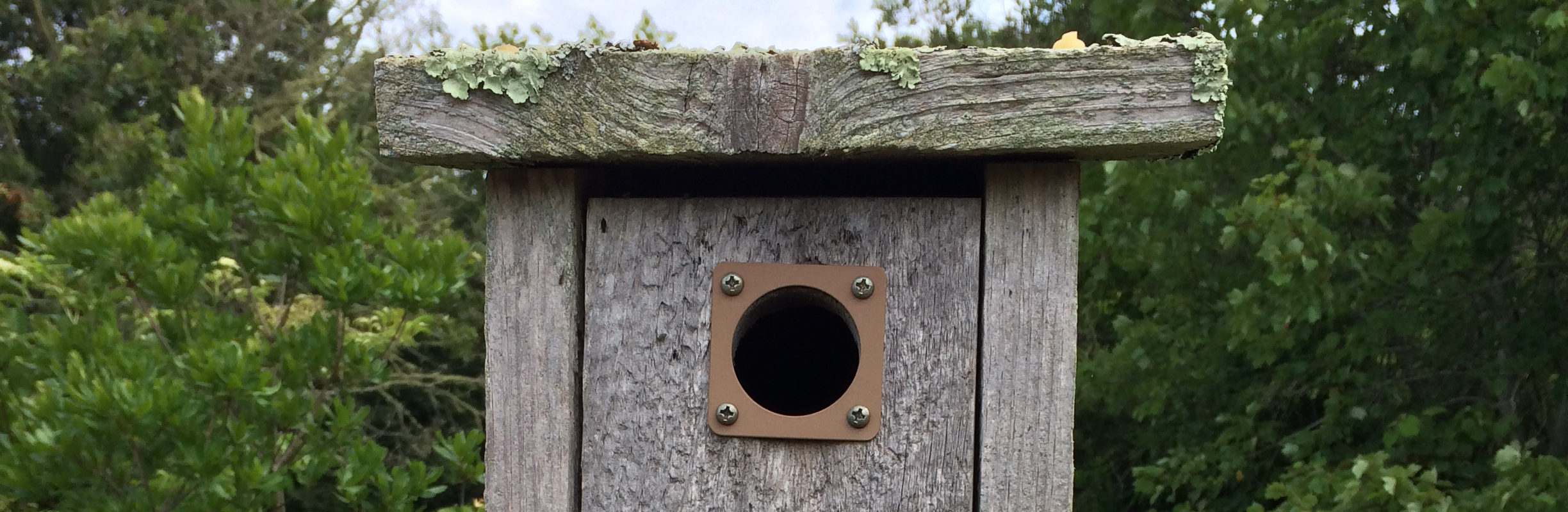 Birdhouseviewer